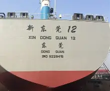 关于大阪樱花战胜对手次轮胜利再添一城的信息