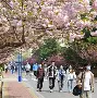 爵士历年主场战绩