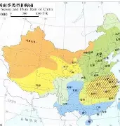 阿贾克斯队员心态调整，力争胜利(阿贾克斯队员心态调整,力争胜利的原因)